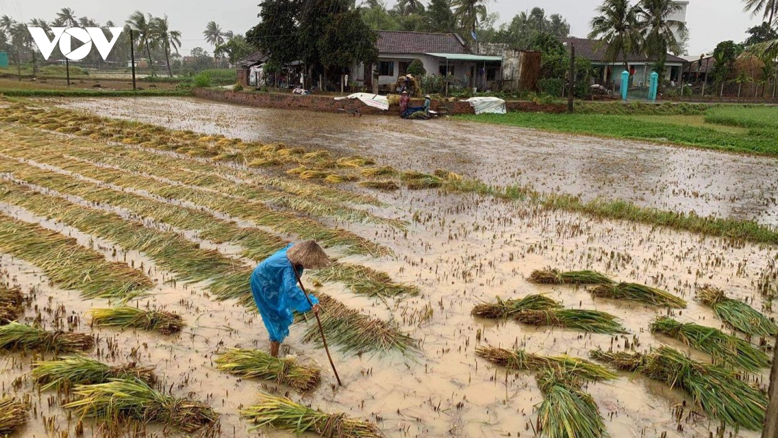 Tập trung hỗ trợ ngư dân Nhơn Lý tìm kiếm tàu thuyền bị sóng đánh chìm